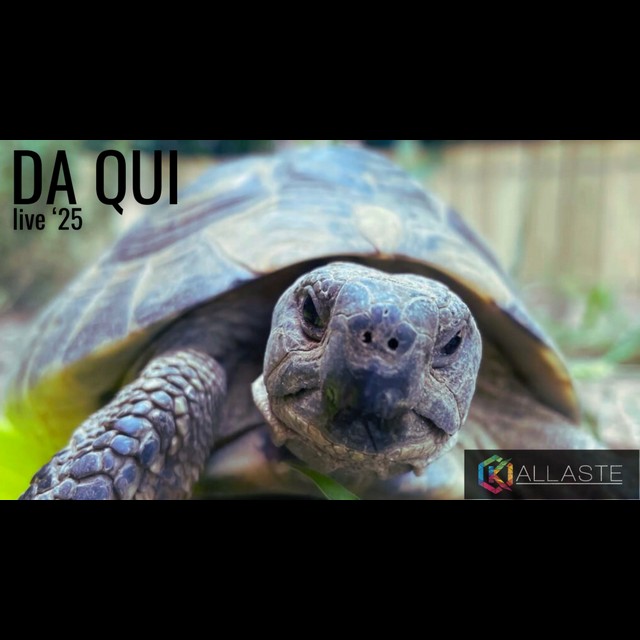 Da Qui
